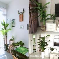 uploads/erp/collection/images/Home Garden/dgjiawang/XU0612854/img_b/XU0612854_img_b_4